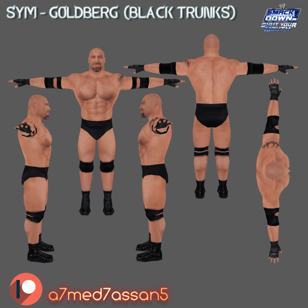 Goldberg (HCTP Attire) | SYM&nbsp;Mods