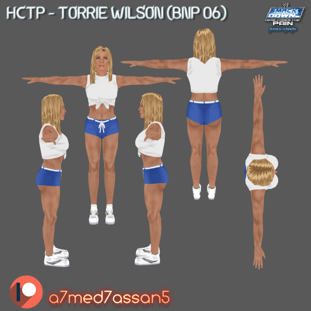 Torrie Wilson (BnP – ’06) | HCTP Divas&nbsp;Mods